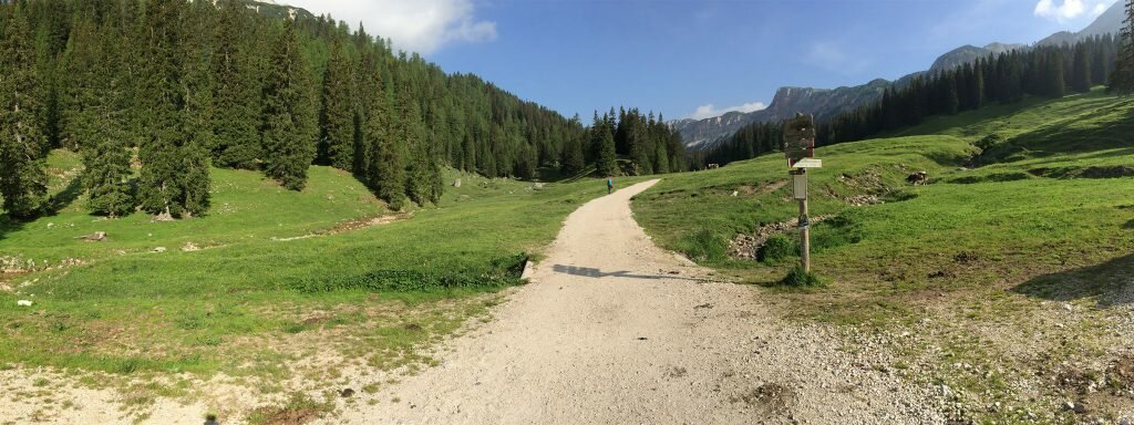 Beautiful alpine meadows